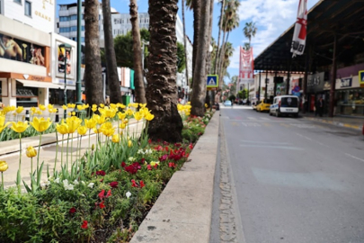Antalya cadde ve sokaklarında rengarenk lale dönemi başladı