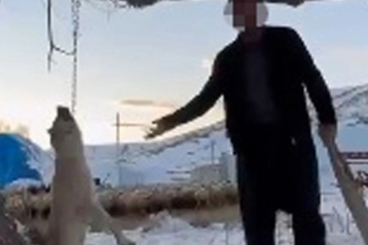 Jandarmadan kaçamadı: Köpeği asarak öldüren şahsa hapis şoku
