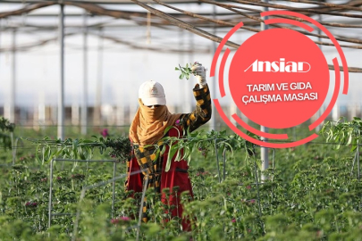 ANSİAD’dan kritik tarım analizi: Rusya rotayı Antalya’ya kırdı