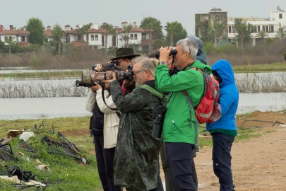 Kuş gözlemcileri Manavgat’ta buluştu: Ekolojik zenginliğe vurgu yapıldı