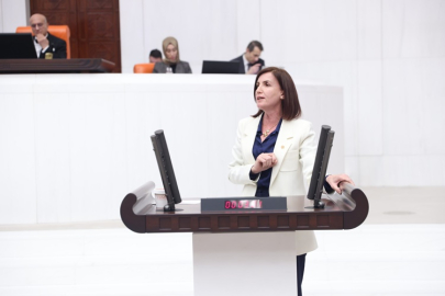 Aliye Coşar uçak seferlerindeki mağduriyeti Meclis’e taşıdı