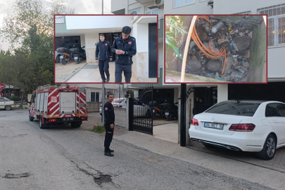 Manavgat İtfaiyesi’nden şefkat eli: Serçe ve kirpiler kurtarıldı