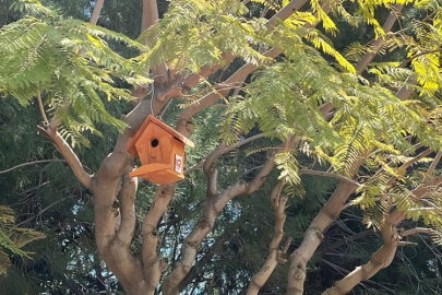 Orman İşletme ve MYO el ele verdi:Kampüs bahçesine kuş evleri