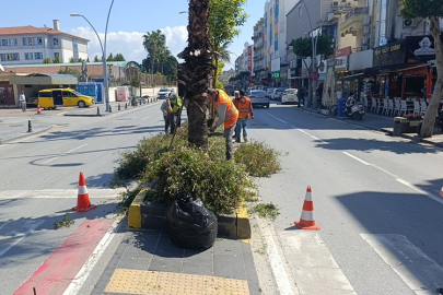 Manavgat’ta yaya geçitlerine "budama" düzenlemesi: Görüş açısı açıldı