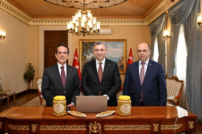 Antalya Tavşan Yüreği Zeytini Avrupa Birliği tescili yolunda