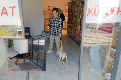 Manavgat ırmak kenarında köpek kavgası: Kendi köpeği elini ısırdı