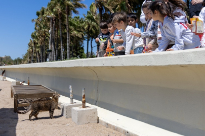 Türkan Sözen Kreş öğrencilerinden sokak hayvanlarına mama desteği