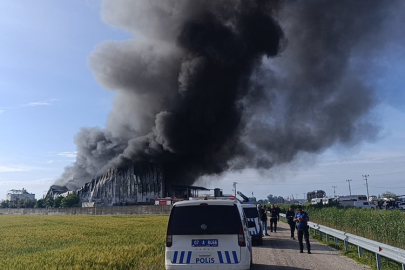 Fritöz patladı patates tesisi alevlere teslim oldu