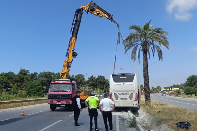 Şehirlerarası yolcu otobüsü refüje çıktı, palmiye ağacına çıktı