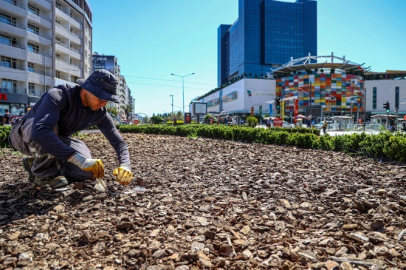 Antalya Büyükşehir’den kuraklığa karşı sürdürülebilir peyzaj