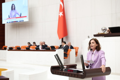 Aliye Coşar yeni Manavgat Devlet Hastanesi inşaatını Meclise taşıdı