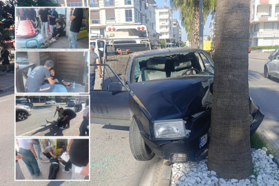 Palmiyeye çarpan otomobildeki 4 genç yaralandı
