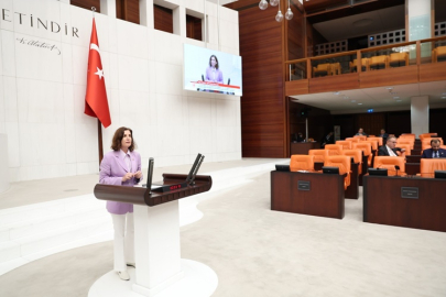Aliye Coşar, mutlak butlan kararını ve yaşanan süreci meclise taşıdı