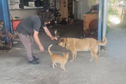 Gözleri görmeyen köpeğe 13 yıldır çocuk gibi bakıyor