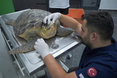 DEKAFOK ekibinden bitkin düşen carettaya hayati müdahale